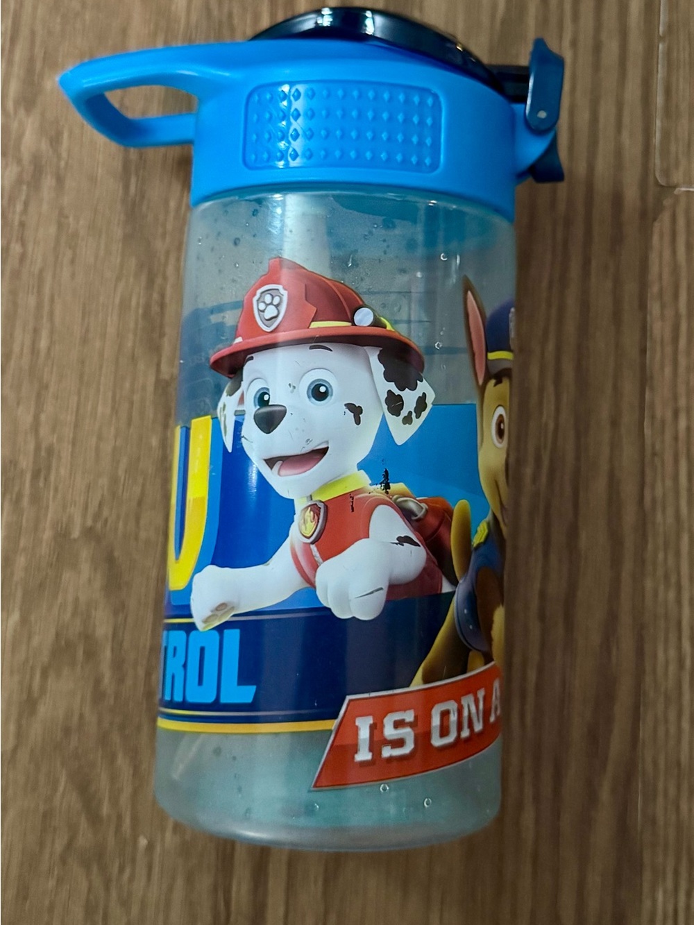 Paw Patrol Kids Blue Plastic Character Water Bottle with Handle